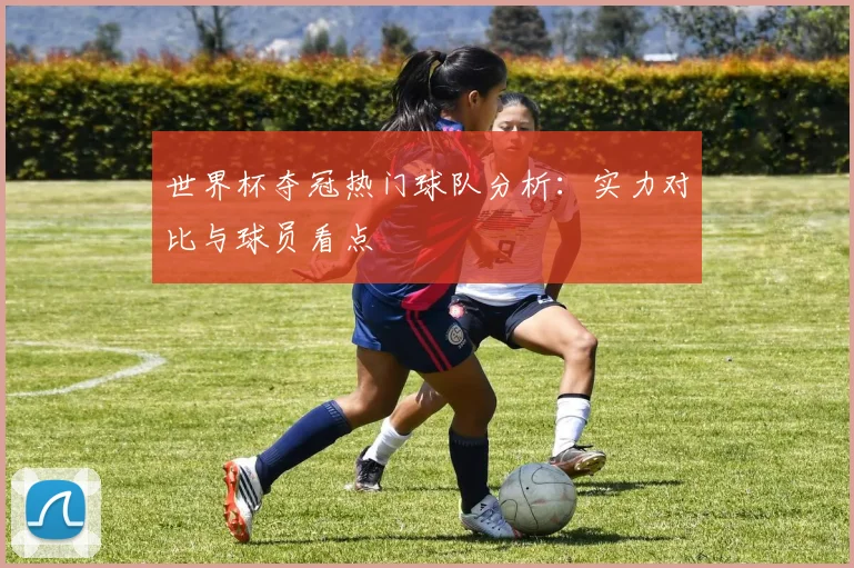 世界杯夺冠热门球队分析:实力对比与球员看点